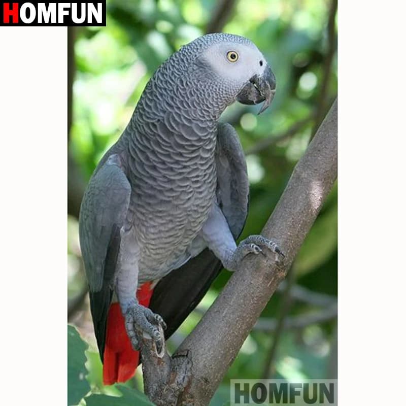 HOMFUN-pintura de diamante 5D DIY "Animal Loro", cuadrados o redondos de imitación bordado de diamantes, estilo punto de cruz 5D, decoración del hogar, A18182