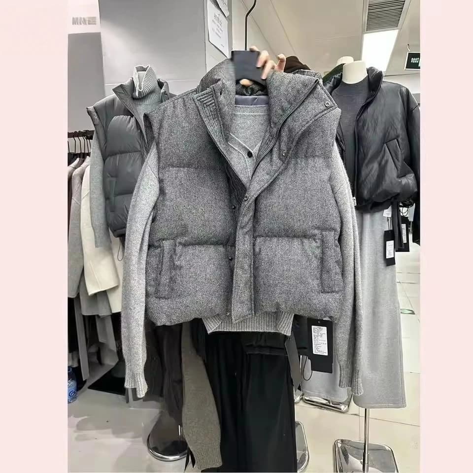 Ropa de calle Chic de Corea, chaleco personalizado, Parkas cortas, chaleco informal elegante, abrigo, Chaqueta de Mujer que combina con todo de Moda de calle alta