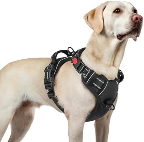 rabbitgoo Arnes Perro Mediano con 3 Hebillas, Liberacion del Cuello, Arnes Perro Ajustable con Asa y Clip Frontal, Arnés Antitirones para Perros Reflectante para Adiestramiento Correr, Negro, L