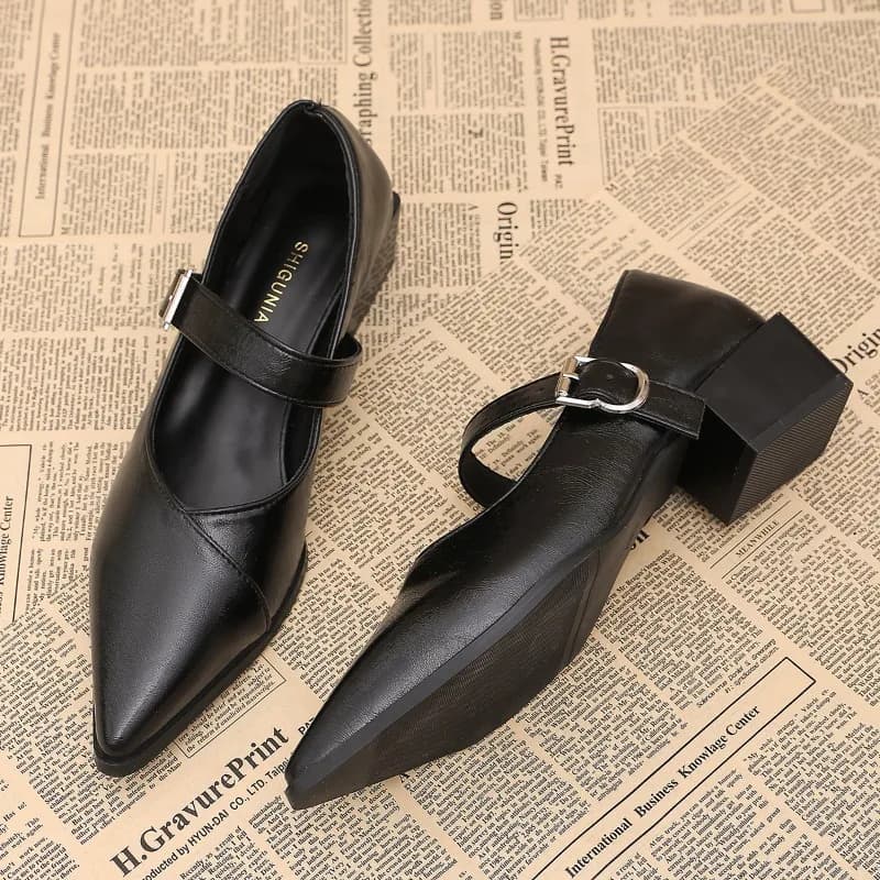 Zapatos Mary Jane de diseñador Vintage con punta estrecha para mujer, zapatos con hebilla poco profunda a la moda, vestido elegante de primavera para mujer, zapatos de tacón grueso